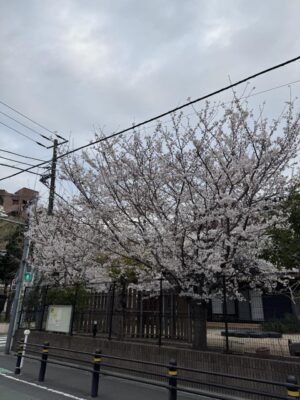 image0_16.jpeg