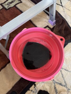 image5.jpeg