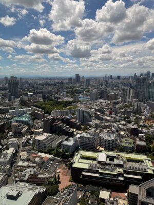 image1_2.jpeg