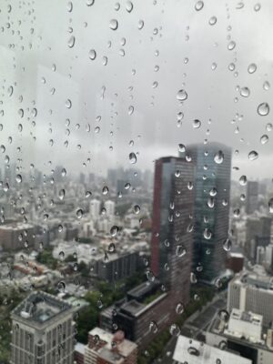 image0.jpeg